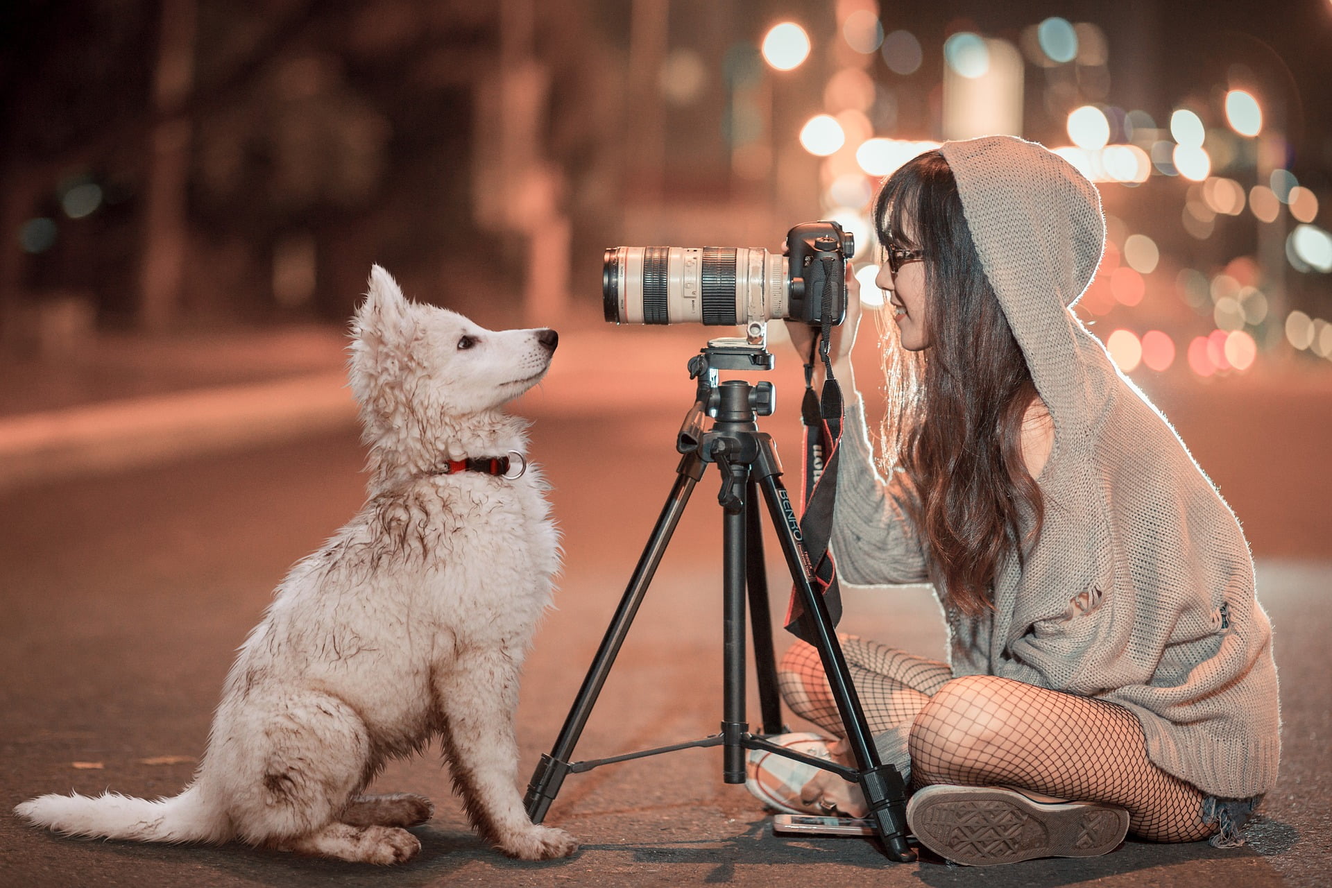 Image illustrant le blog sur les EXIF
